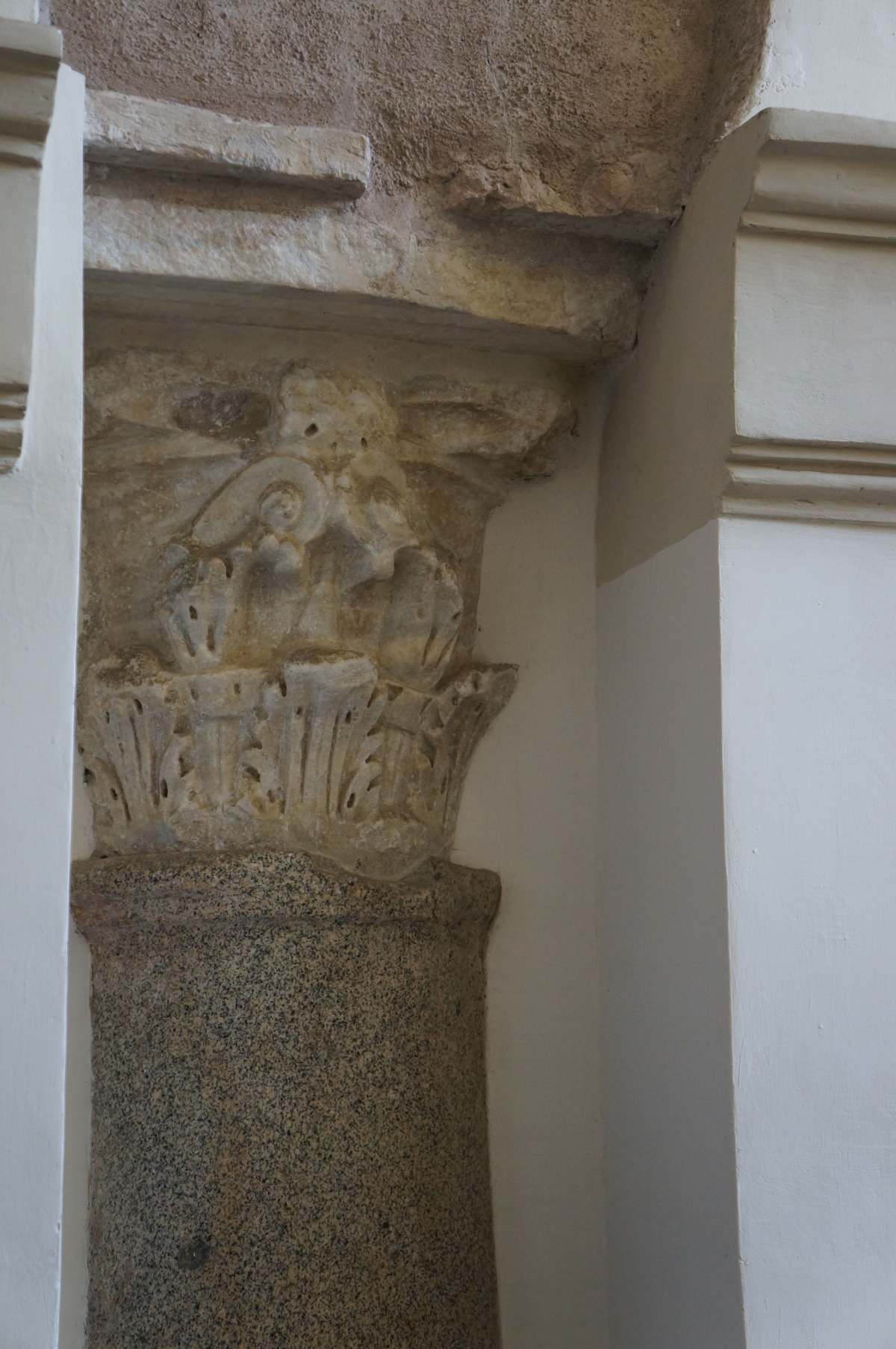 Abb. 431-MicheleeMagno_026.jpg